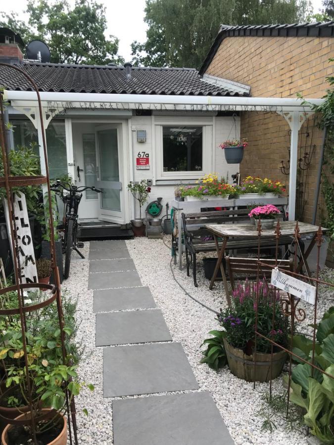 Nias Guesthouse راينبك المظهر الخارجي الصورة